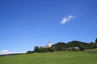 Glantales