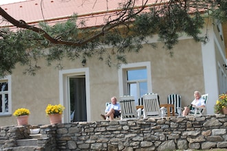 Borovice