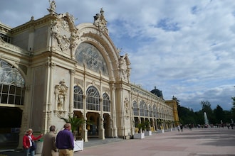 Borovice