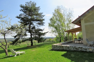 Borovice