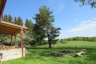 Borovice