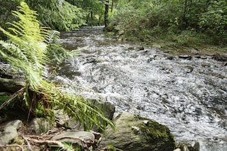 Sachsen