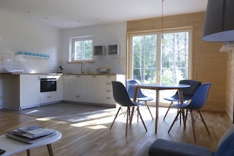 Scandinavian style house