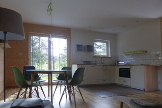 Scandinavian style house