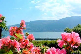 Tre Ponti Bilo Quattro
