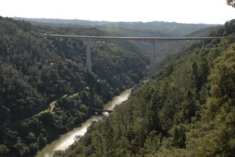 Quinta do Ribeiro Joaninho