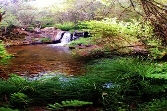 Quinta do Ribeiro Joaninho