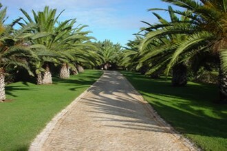 Quinta Velha