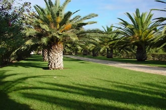 Quinta Velha