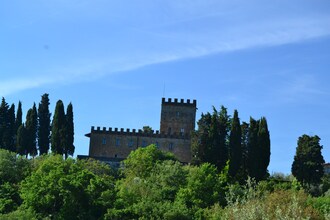 Trebbiano