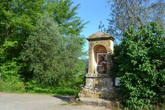 Trebbiano