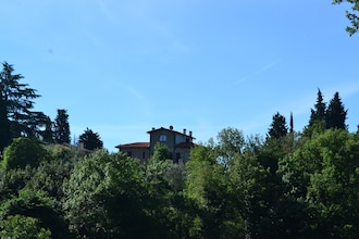 Trebbiano