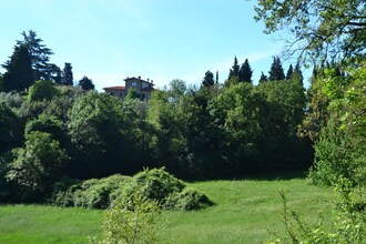 Trebbiano