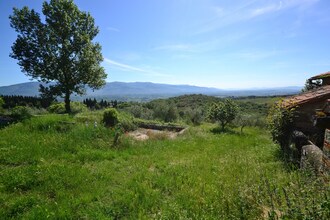 Trebbiano