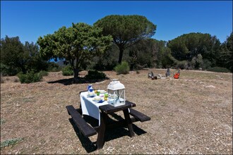 Torre Maremma