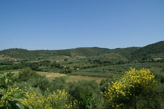 Fattoria Terontola