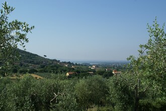 Fattoria Terontola