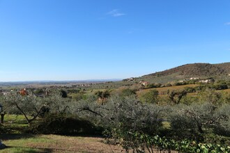 Fattoria Terontola