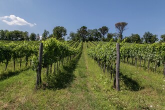 Borgo Gavignano Idilia