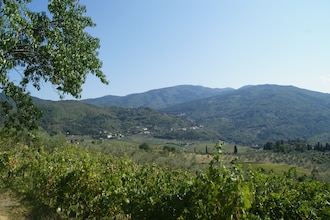 Il Ciliegio