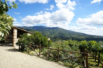 Il Ciliegio