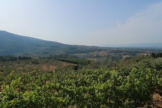 Il Ciliegio