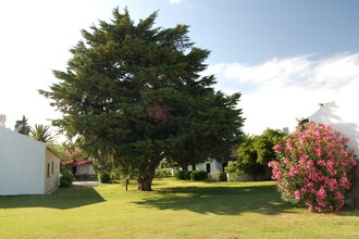 Pedras del Rei 2