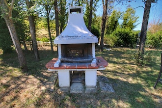 Rosmarino e Salvia