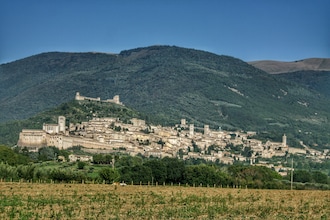Rosmarino e Salvia