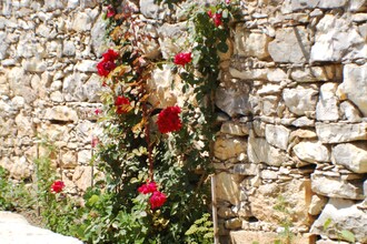 Casa Isabel