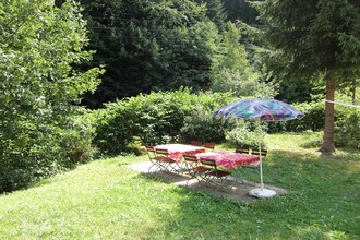 Waldblick