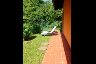 Vigneto D19