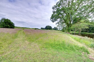 Bluebell Byre