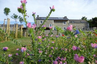 Vakantiehuizen Hoei EUR-BE-4590-10