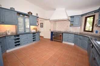 Alegria