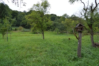 Eifelherz