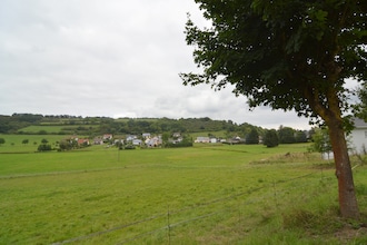 Eifelherz