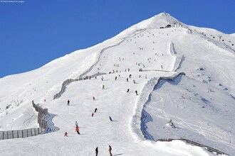 Alpensteinbock Mauterndorf