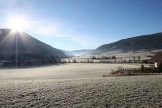 Alpensteinbock Mauterndorf