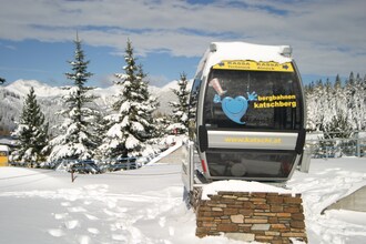 Alpensteinbock Mauterndorf