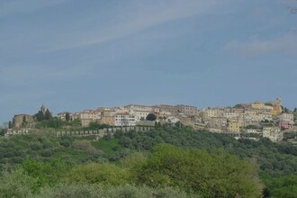 Scarlino