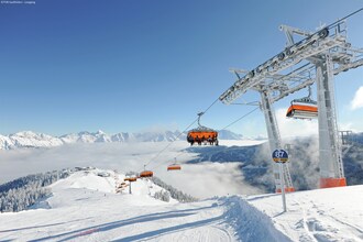 Alpensteinbock Saalbach C