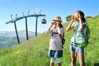 Alpensteinbock Saalbach C