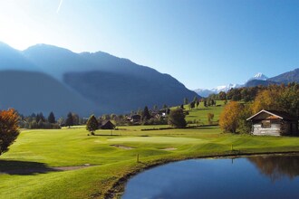 Alpensteinbock Saalbach C