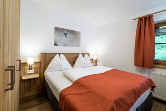 Alpensteinbock Saalbach C