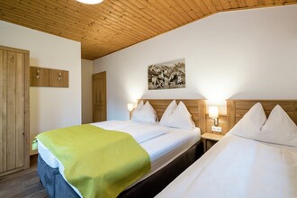 Alpensteinbock Saalbach C