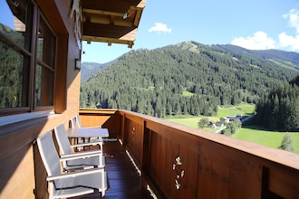 Alpensteinbock Saalbach C