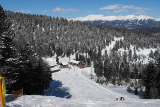 Stadl Chalet 124