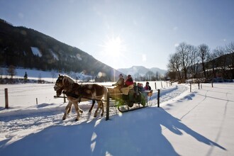 Stadl Chalet 124
