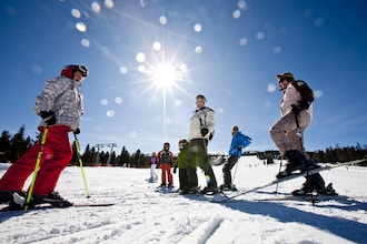 Stadl Chalet 124